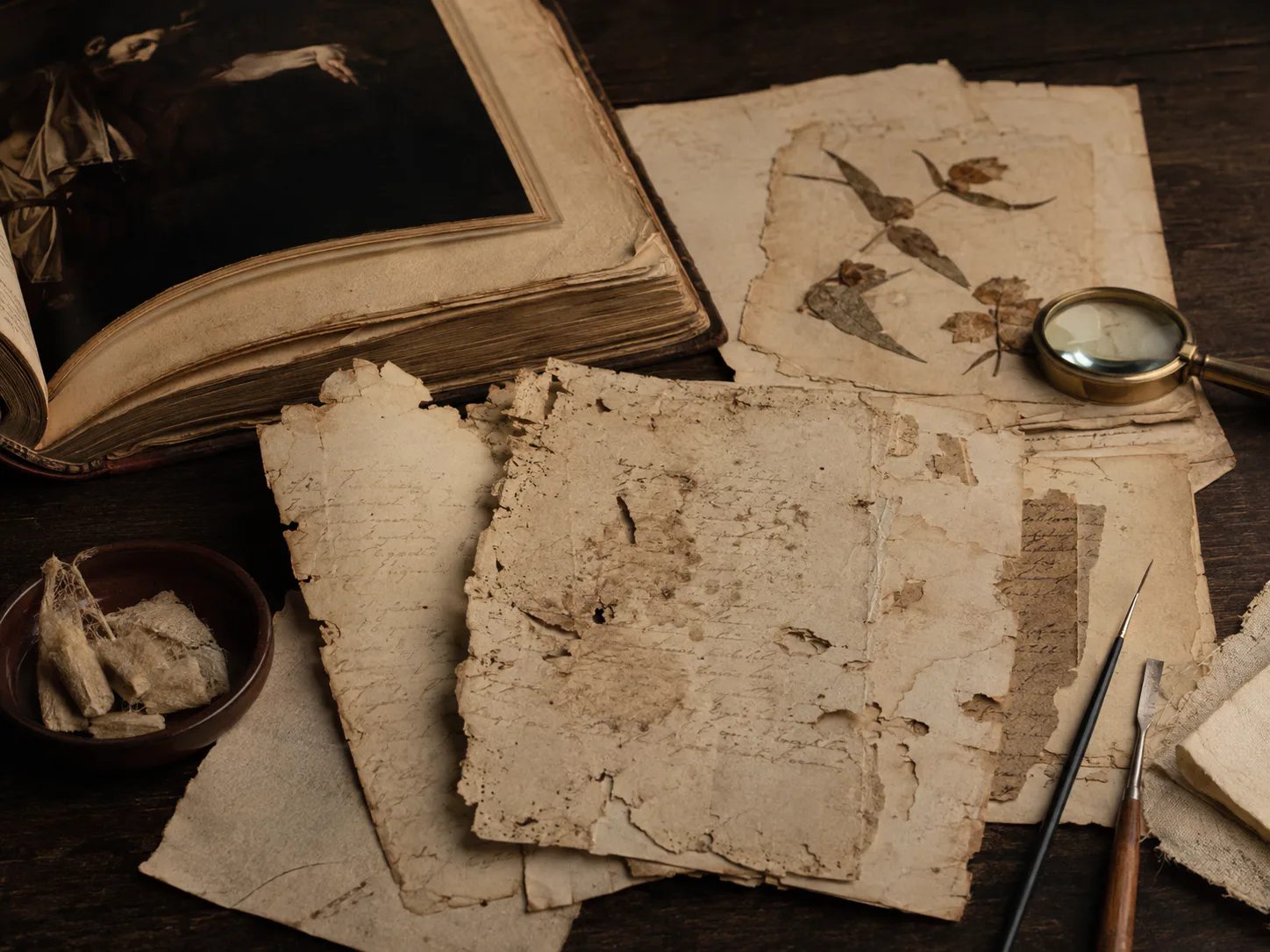 Damaged handwritten manuscript pages, restoration tools, and pressed leaves arranged on an archive table